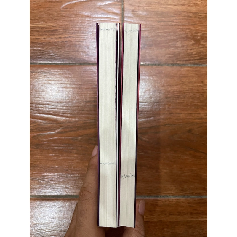 Hồng Lâu Mộng liên hoàn hoạ (k19) 502645