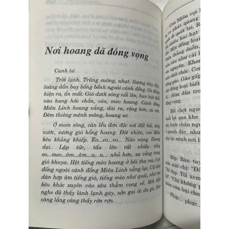 Đi qua đồng chiều – Sương Nguyệt Minh 991839