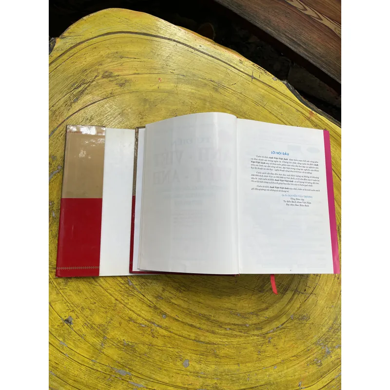 TỪ ĐIỂN ANH - VIỆT - VIỆT ANH- BAN BIÊN SOẠN CHUYÊN TỪ ĐIỂN NEW ERA 603684