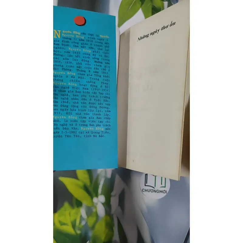 Những ngày thơ ấu - Nguyên Hồng 798423