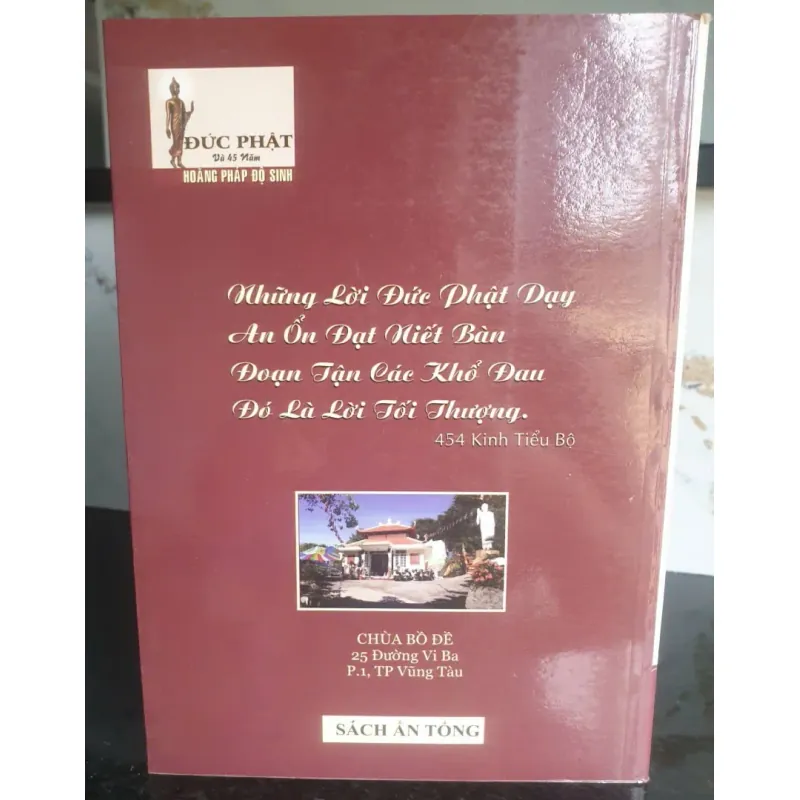 Đức Phật Và 45 Năm Hoàng Pháp Độ Sinh - Tập 8 756651