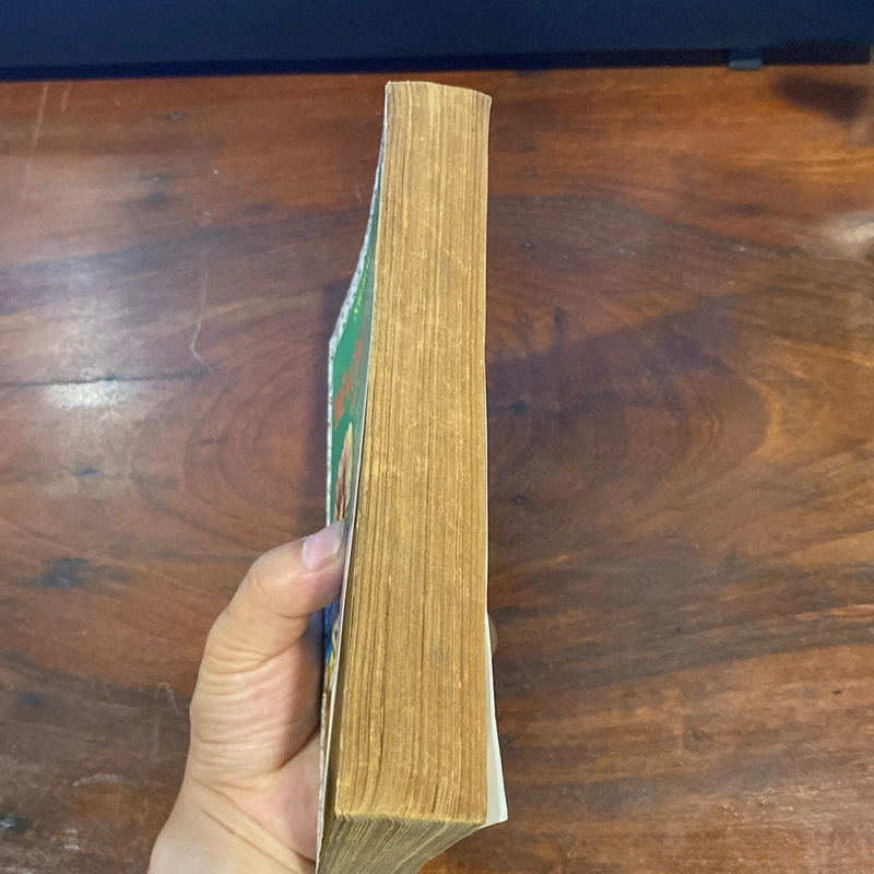 SÁCH SỐ DIỄN CẦM TAM THẾ 493040