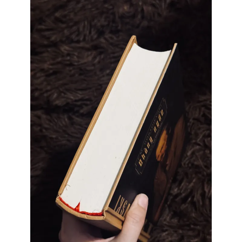 Chàng ngốc - F.M. Dostoievski 1020783