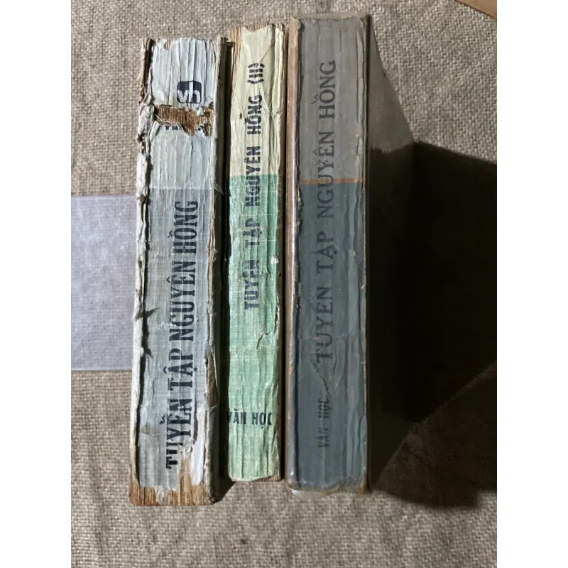 NGUYÊN HỒNG - 3 TẬP, TRỌN BỘ 574555
