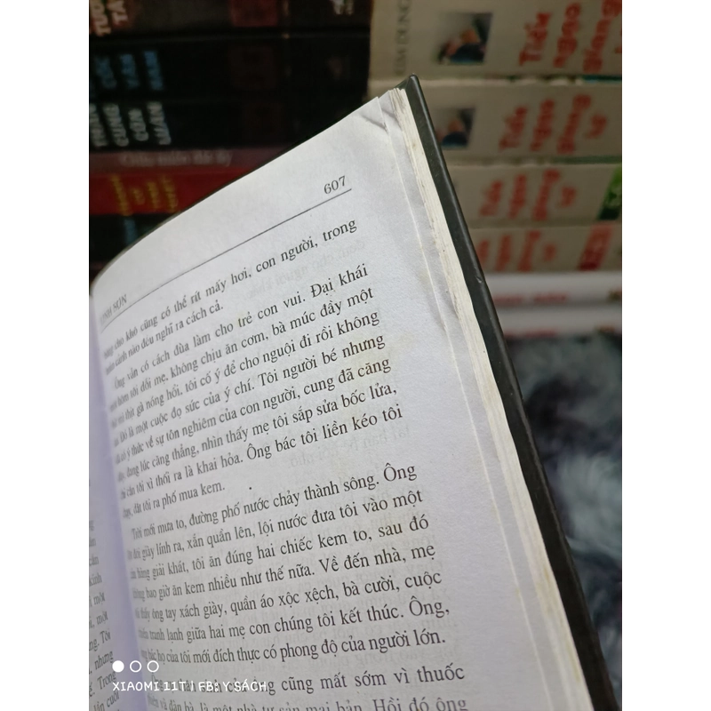 Linh Sơn (Cao Hành Kiện) 459906