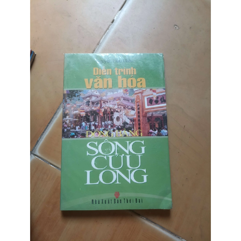 Diễn trình văn hoá đồng bằng sông Cửu Long - Hữu Hiếu (Lịch sử Việt Nam) VAVO1304-AK3ST2 1012312