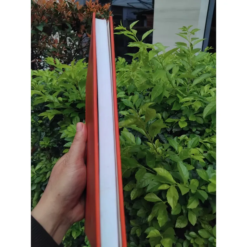 Nhóc Nicolas, quả bóng và những chuyện chưa kể 936598