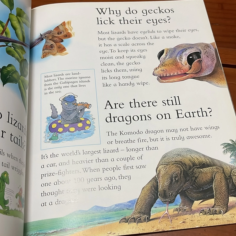 PICTURE BOOK Snakes shed their skin 536374