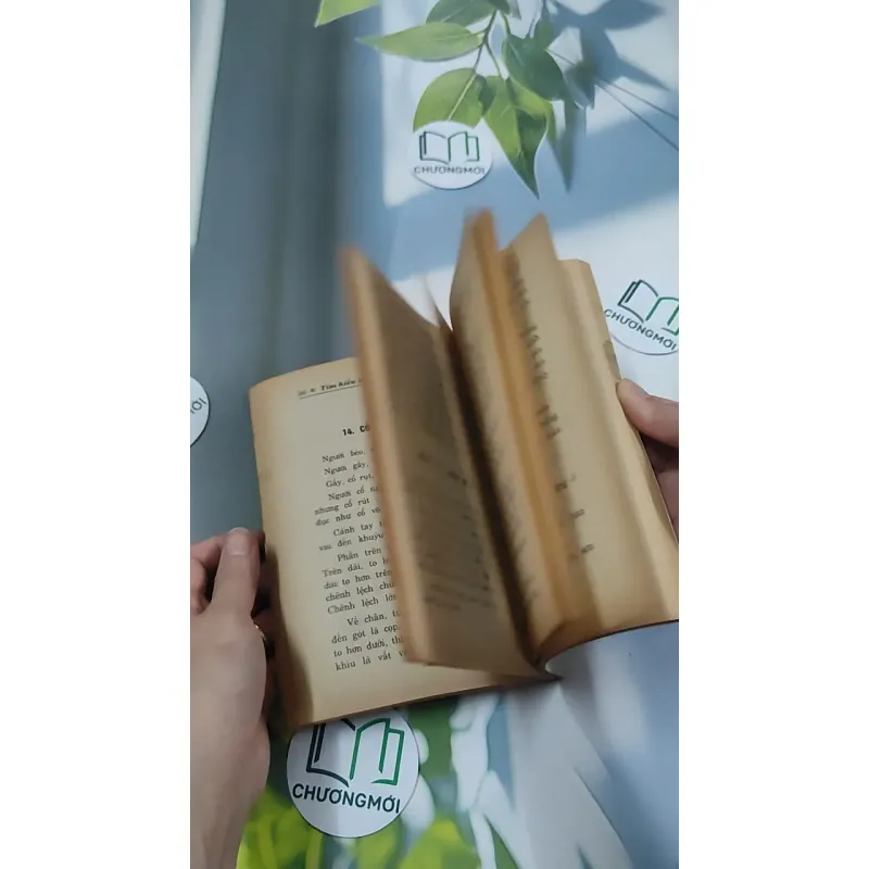 Tìm Hiểu Nhân Tướng Học - Trúc Viên 776043