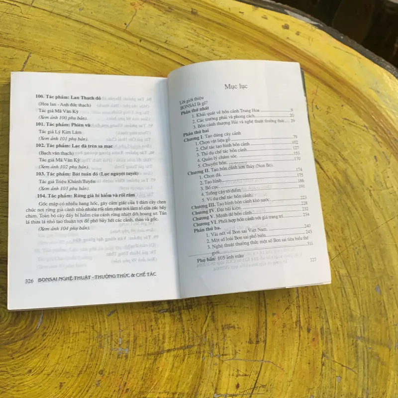 COMBO BONSAI Cây dáng, thế và Non bộ  775779