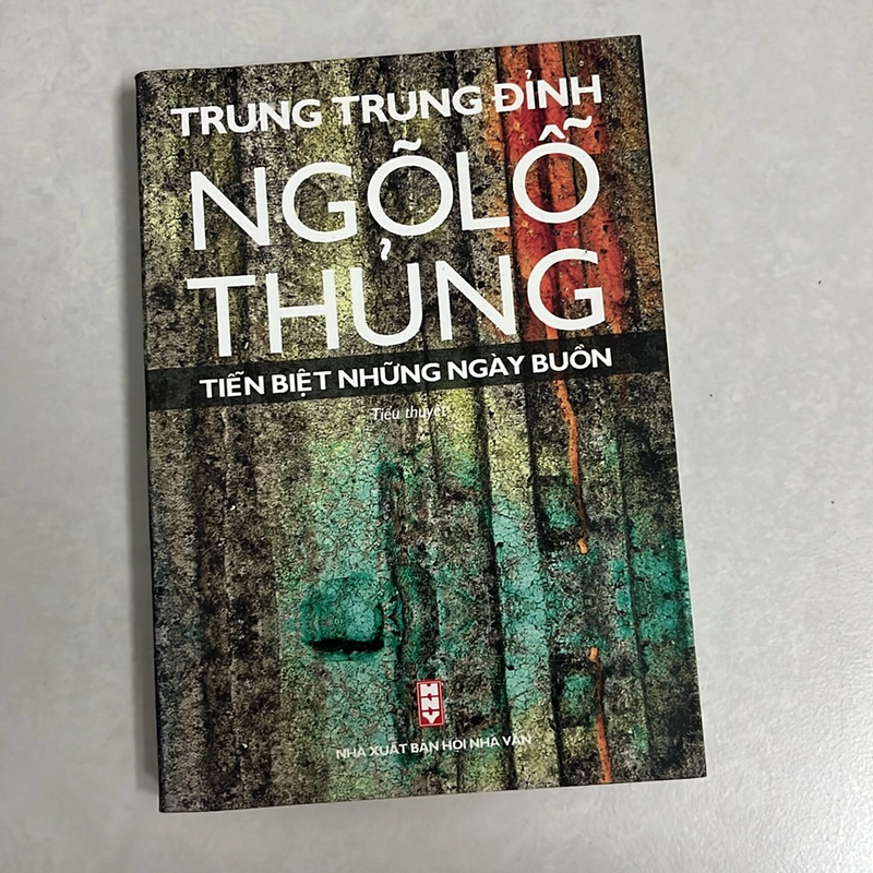 Ngõ Lỗ Thủng tiễn biệt những ngày buồn — Trung Trung Đỉnh 501172