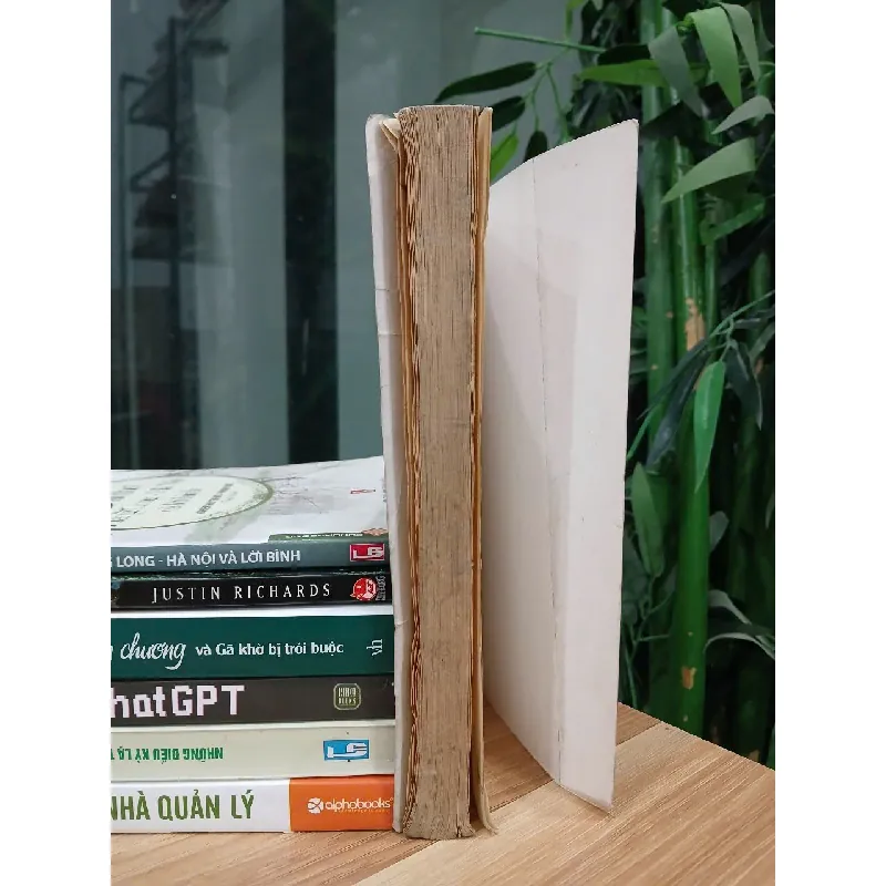 Sáng tạo & Cân bằng (Dành cho phụ nữ hiện đại) – Victoria Moran 529098