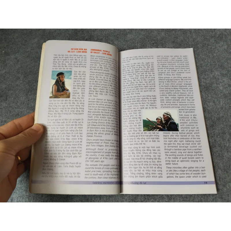 BÂNG KHUÂNG ĐÀ LẠT 718964