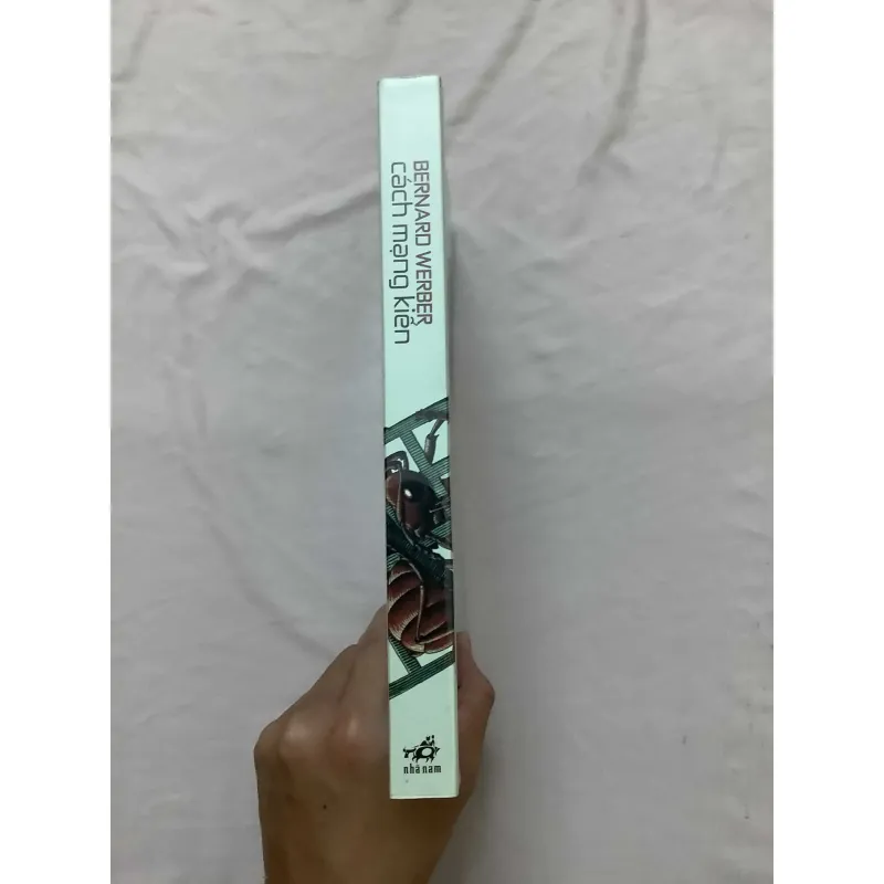 Kiến - Cách Mạng Kiến 595716