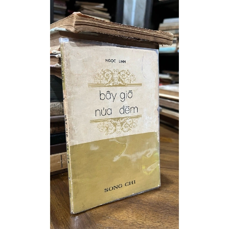 Bây Giờ Nửa Đêm - Ngọc Linh 1045551