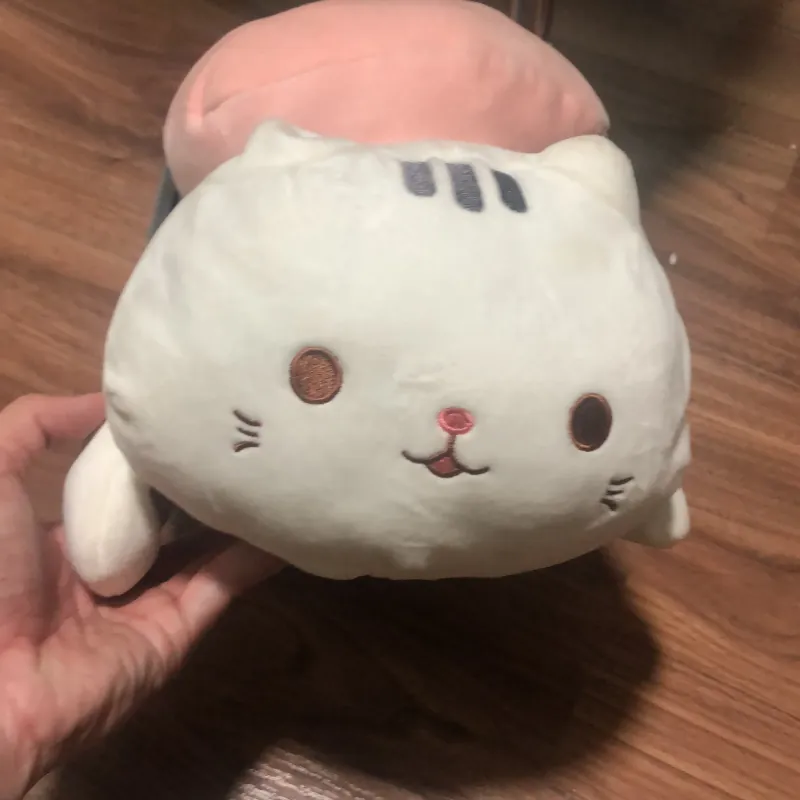 Mèo Sushi, tặng móc khoá Capybara 778852