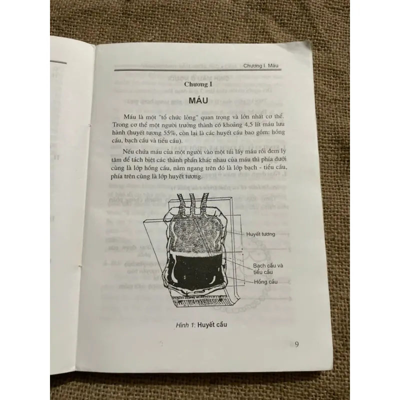 MÁU-TRUYỀN MÁU CÁC BỆNH MÁU THƯỜNG GẶP - CHẨN ĐOÁN VÀ CÁC PHƯƠNG PHÁP ĐIỀU TRỊ - SÁCH Y 571853