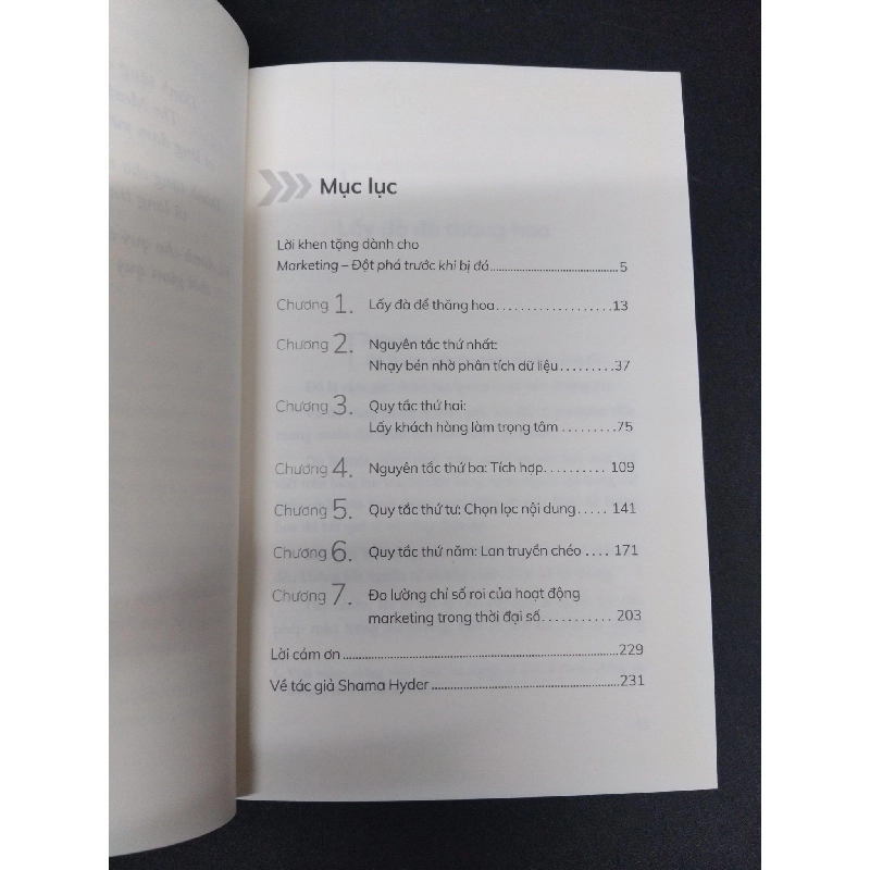 Marketing đột phá trước khi bị đá mới 90% bẩn nhẹ 2019 HCM1410 Shama Hyder MARKETING KINH DOANH 917544