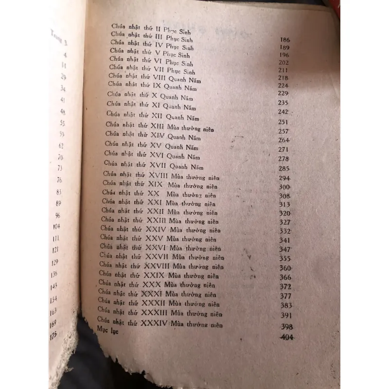 Phúc Âm chúa Nhật năm C  1041168