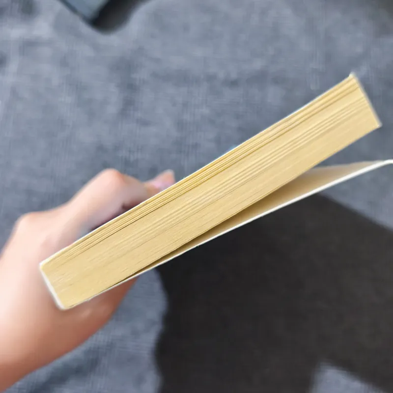 The Thunderbolt Pony - Stacy Gregg 791813