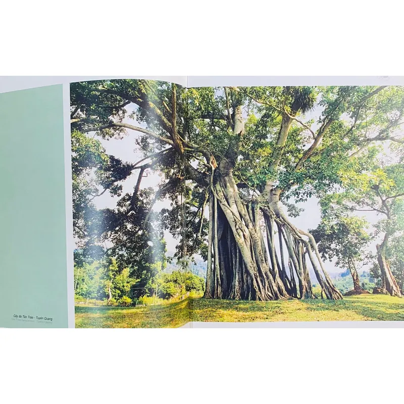 Nét Đẹp Đông Dương 591001