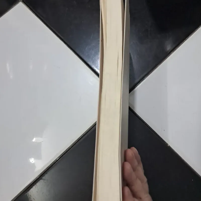 Lolita- Vladimir Nabokor 1003232