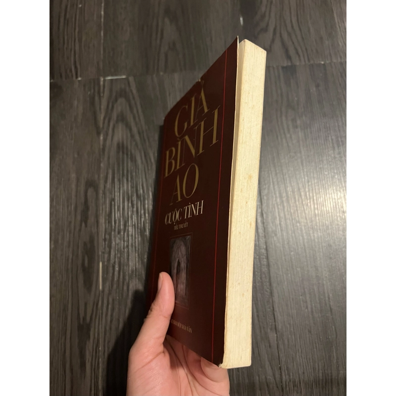 Cuộc tình - Giả Bình Ao 298057