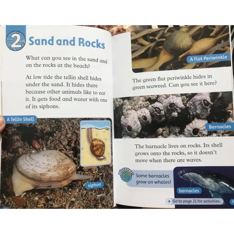 Oxford read and discover (Sách nhập) - Level 1 - 20 quyển + File Mp3 799723