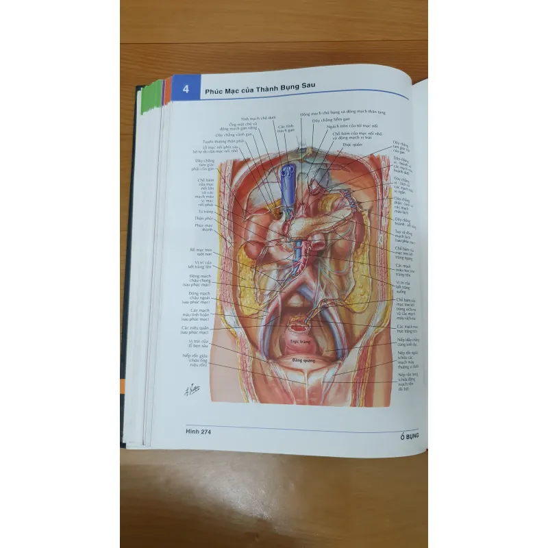 ATLAS GIẢI PHẪU NGƯỜI  761036