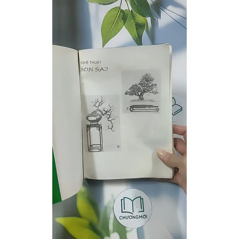 Bonsai: Cây dáng, thế và non bộ - Đỗ Hiệp 694948