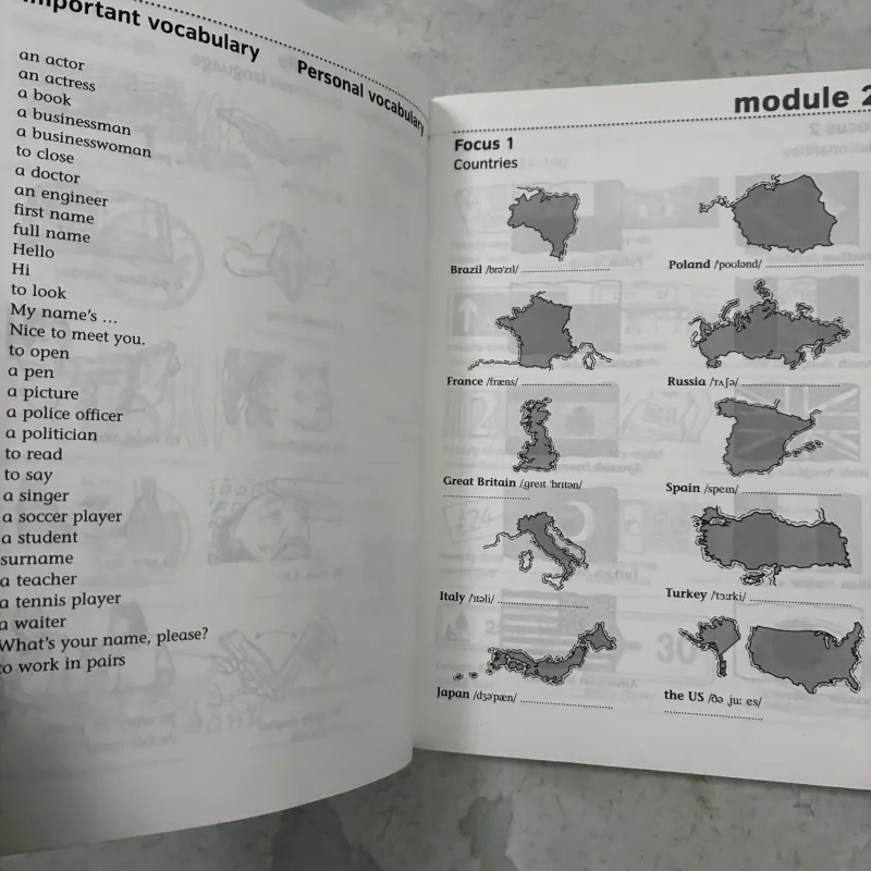 American Cutting Edge: Vocabulary Vol 1 990324