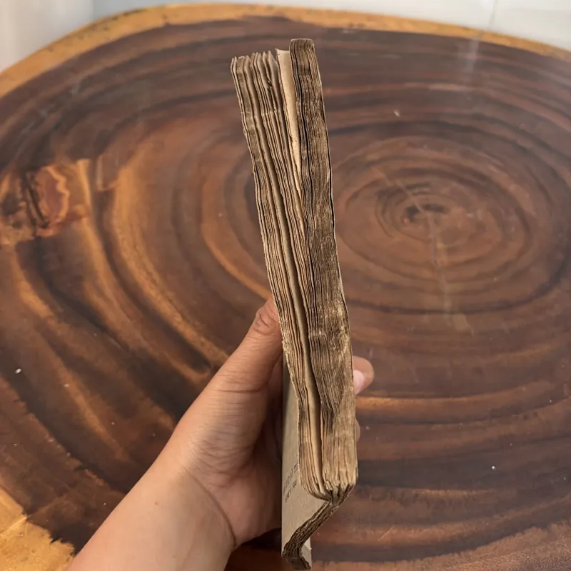 II Sách Hay: Lớn Lên Thành Người Hoặc Sự Ra Đời Của Nhân Cách - VALERIA MUKHINA - 1984 1008496