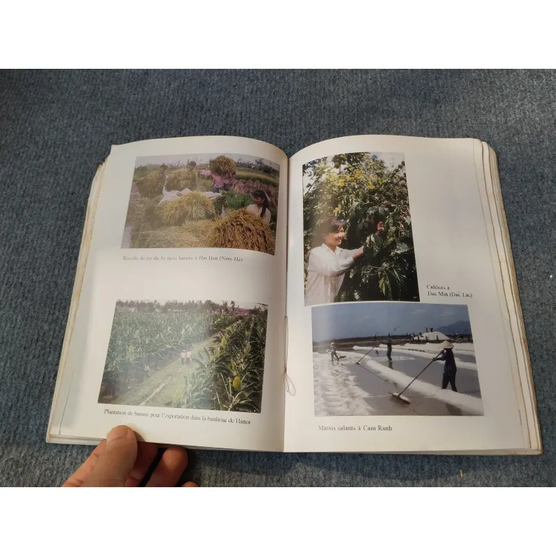 L' ÉCONOMIE DU VIETNAM 1986 - 1995 727118