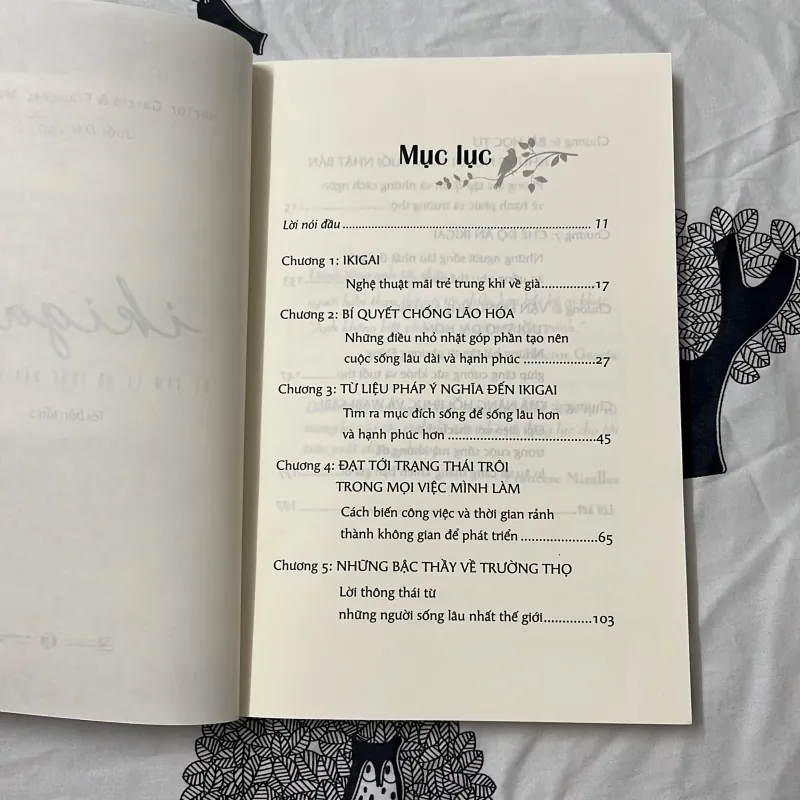 Ikigai - Đi tìm lý do thức dậy mỗi sáng 1008583