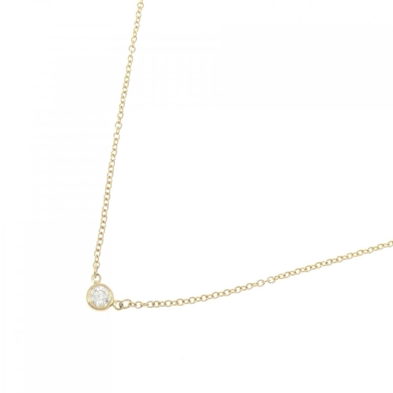 Dây chuyền Tiffany By The Yard - Hàng hiệu Authentic 840504