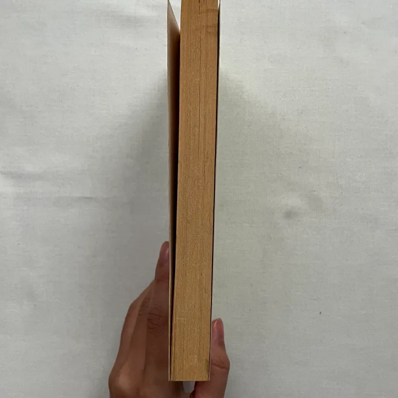 Northanger Abbey - Jane Austen   960656