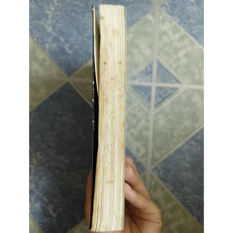 Bia mộ điên và bầy diều hâu gãy cánh - Erich Maria Remarque 571994