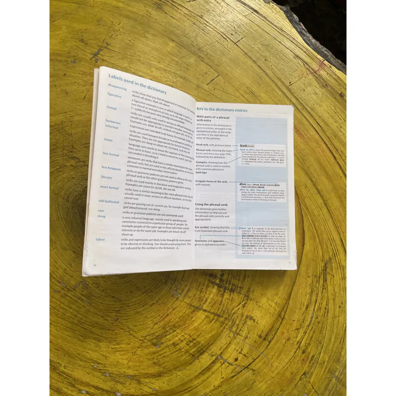 OXFORD PHRASAL VERBS DICTIONARY FOR LEARNERS OF ENGLISH  602671