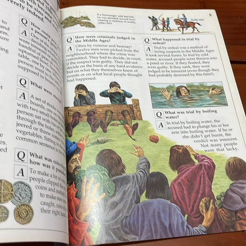 PICTURE BOOK 100 questions and answers crime and punishment 536306
