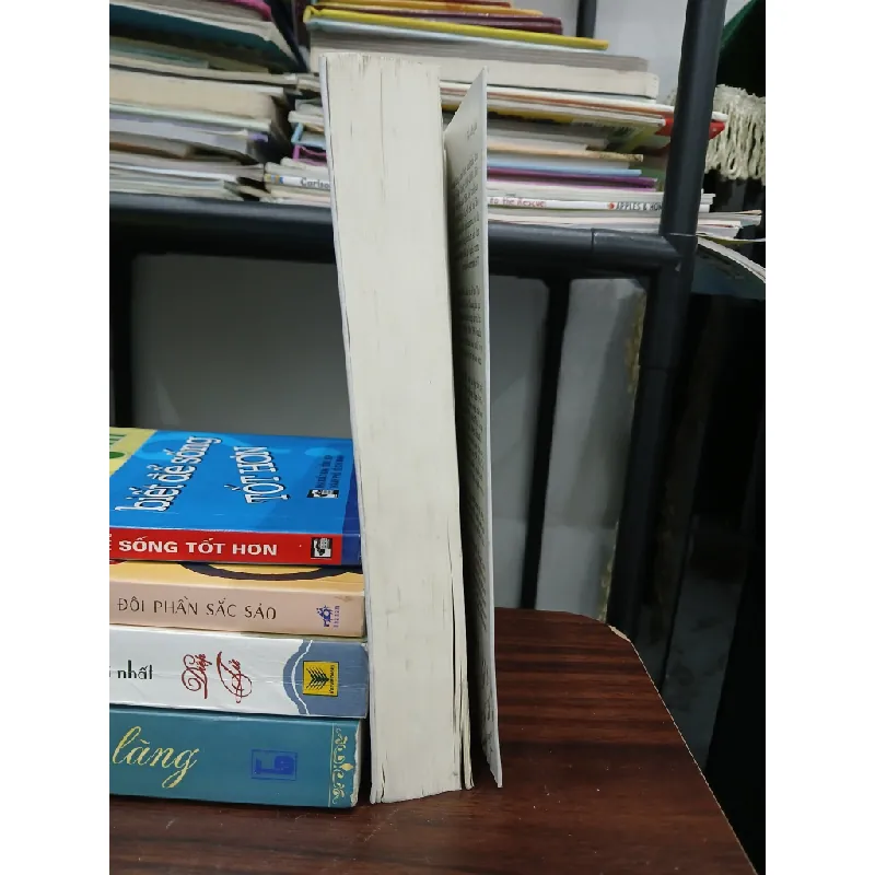 Những con chim ẩn mình chờ chết(The Thorn Birds) – Colleen McCullough 576153