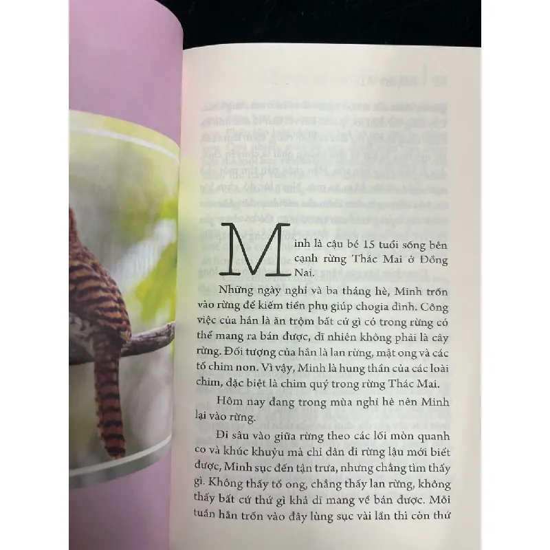 Truyện chim - Xuyên Vũ 720492