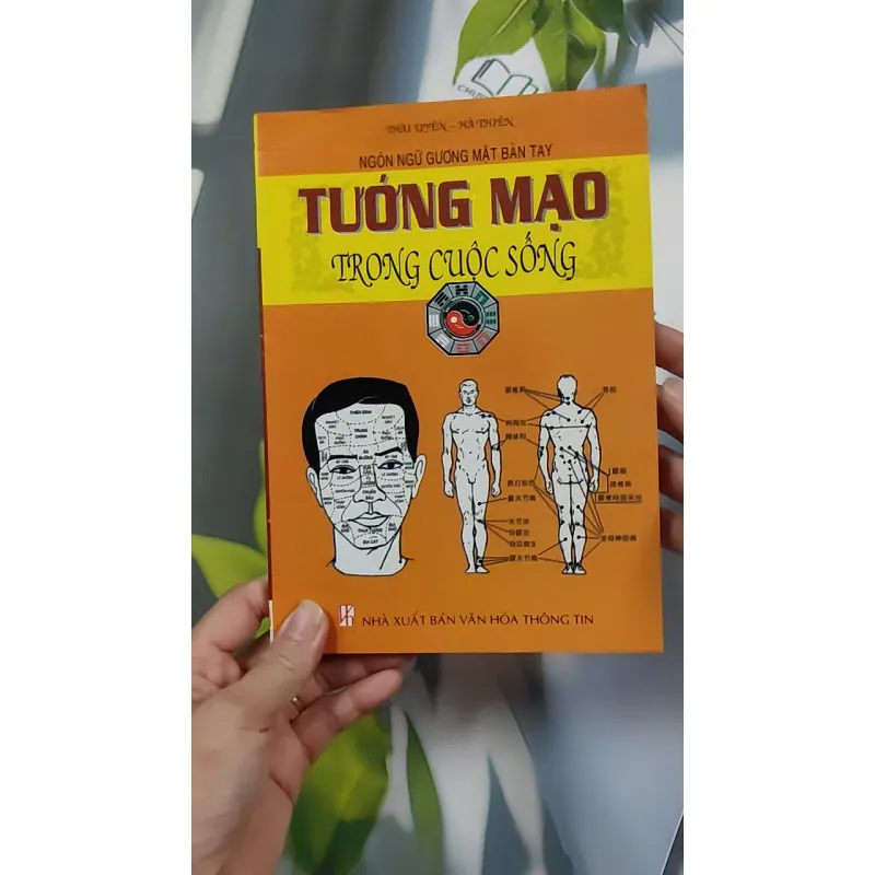 Tướng Mạo Trong Cuộc Sống - Thái Uyên & Hà Thiên 776128