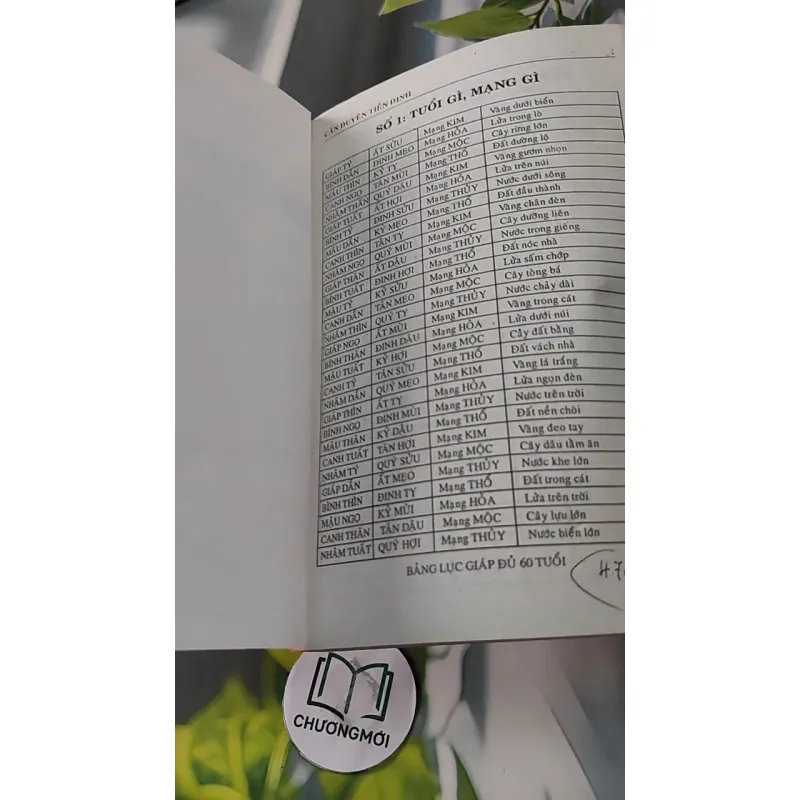 Căn Duyên Tiền Định 727287