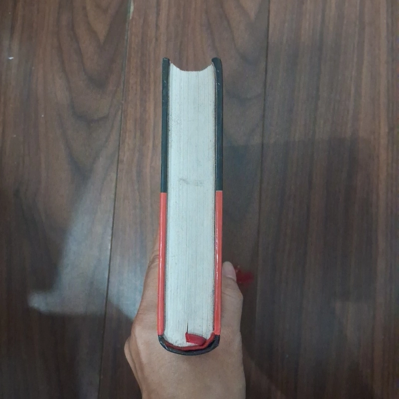 Ruồi trâu - bìa cứng 505612