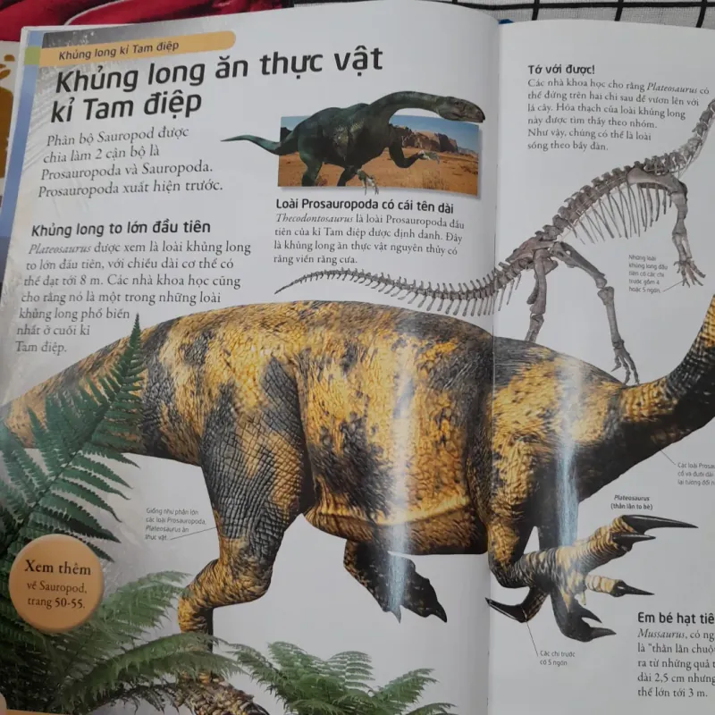 Bách Khoa Khủng Long dành cho trẻ em. Dinosour Encyclopeadia by Caloline. Minh Nguyệt dịch 572494