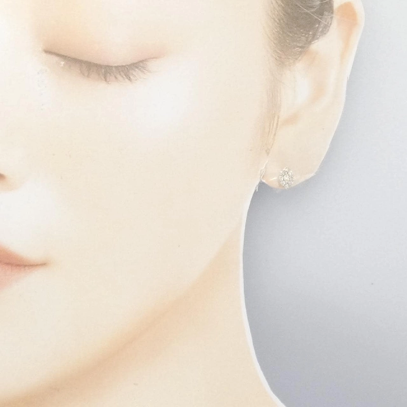 PT900 Bông tai kim cương 0.30CT - Hàng hiệu Chính hãng 871193