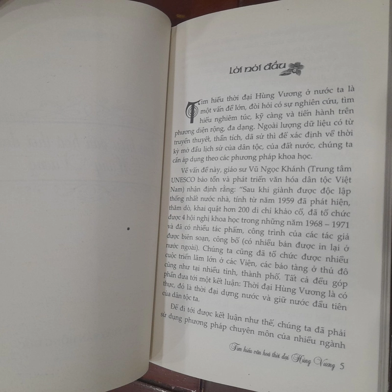 Tìm hiểu văn hóa thời đại Hùng Vương 175158
