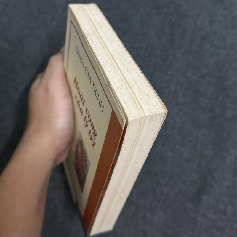 Hoài vọng của lý trí - Đinh Gia Trinh 790751