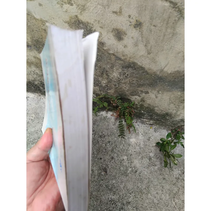 Địa chí Đồng Tháp Mười  1030146