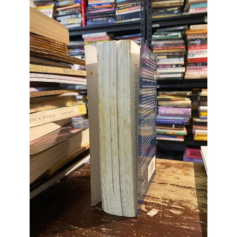 Modern Social Work Theory - Malcolm Payne 1006737